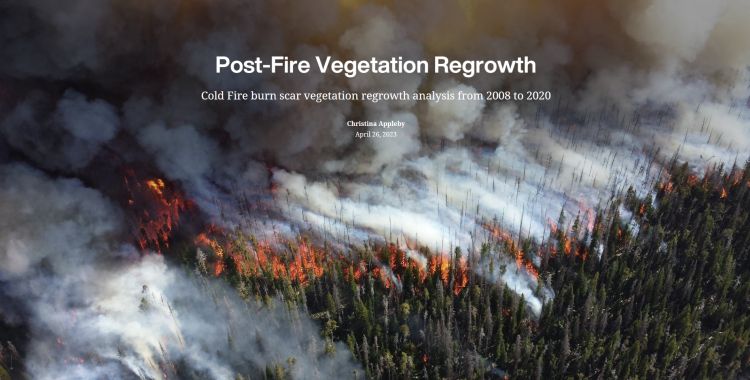 forest on fire with smoke billowing into the air